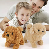 ToutouCalin™ - Mon premier chien interactif