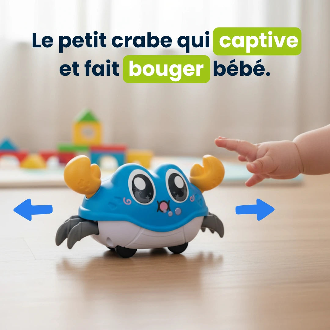 Crabe d’Éveil Interactif