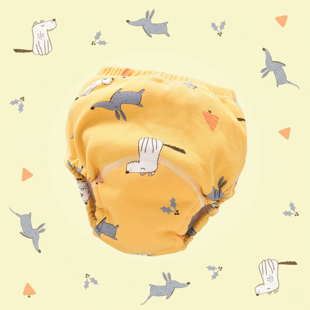 Les culottes d'apprentissage