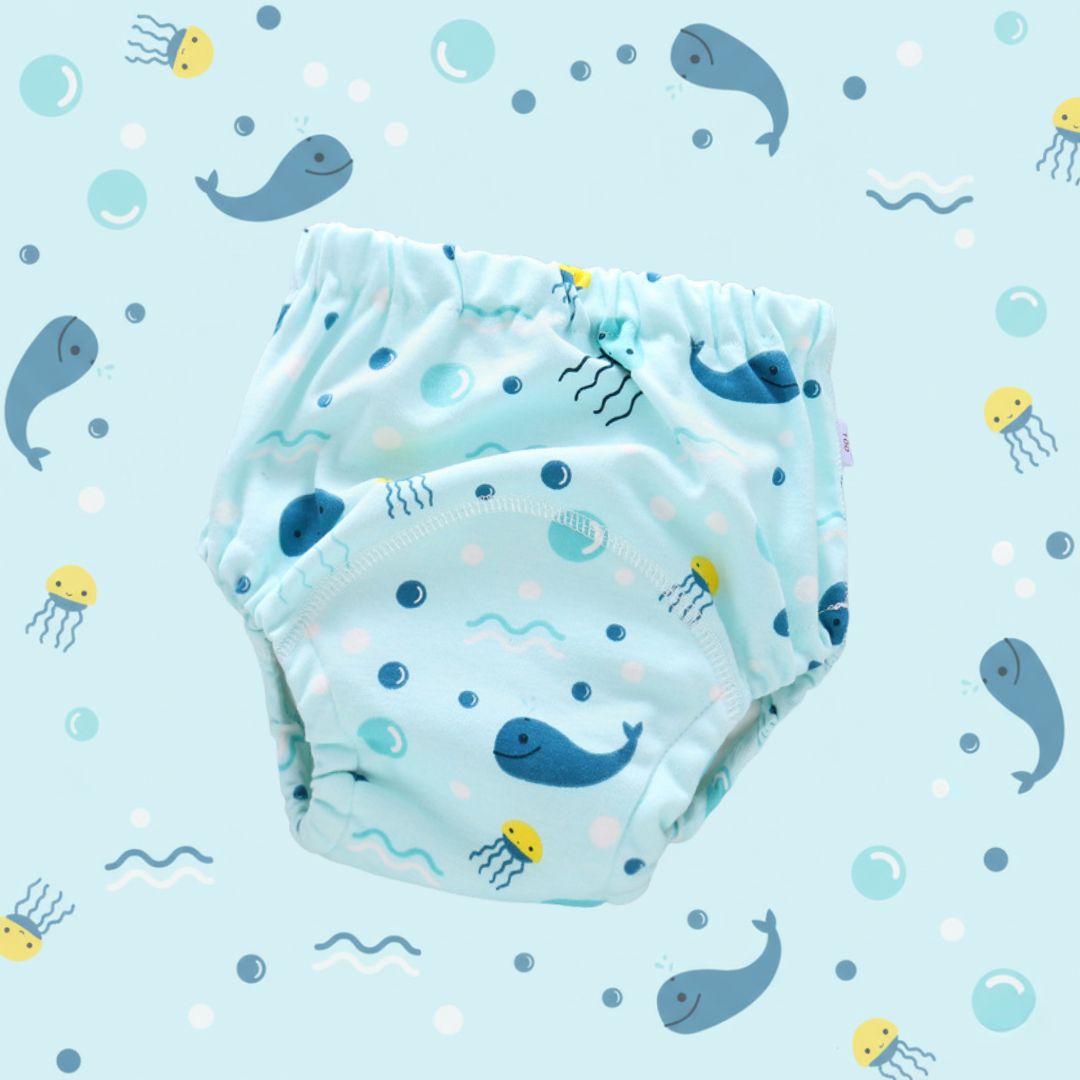 Les culottes d'apprentissage